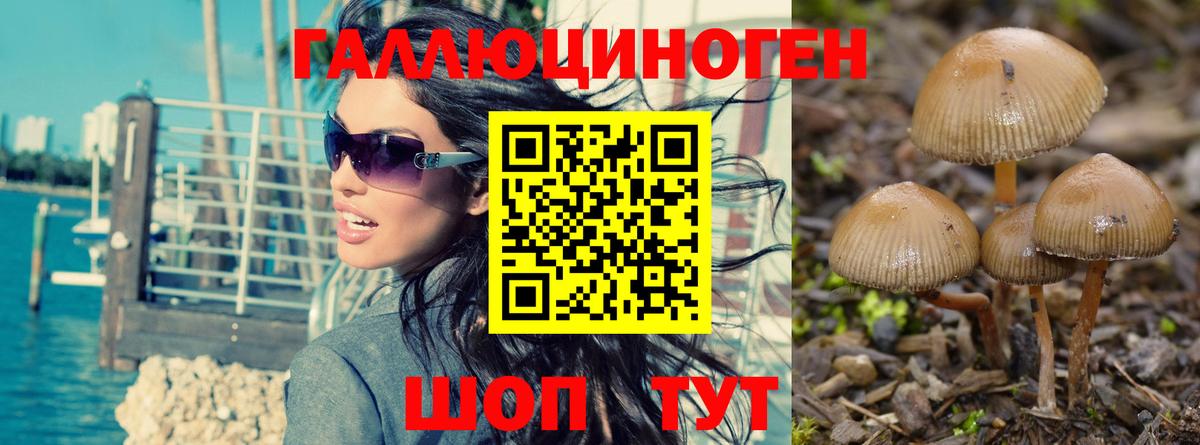 Дмитров  Галлюциногенные грибы Magic Shrooms  Вход с VPN 