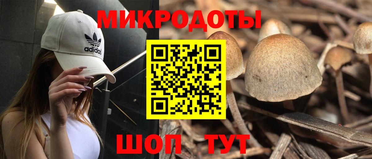 Галлюциногенные грибы Magic Shrooms Дмитров